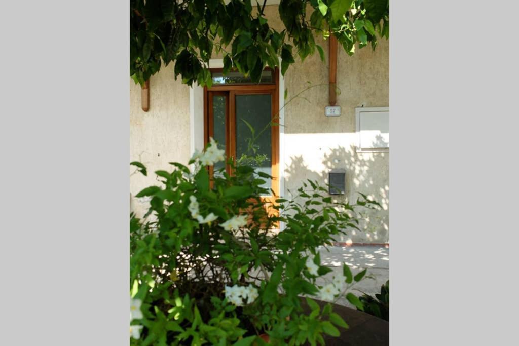 La Casina Di Bruna Mommio Buitenkant foto