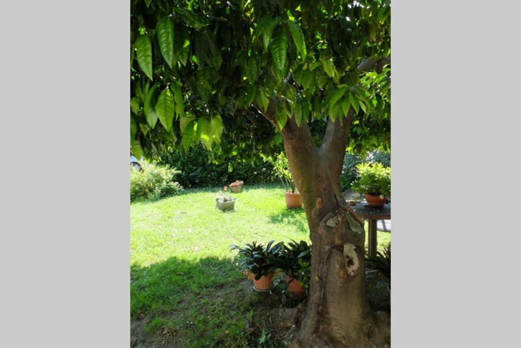 La Casina Di Bruna Mommio Buitenkant foto