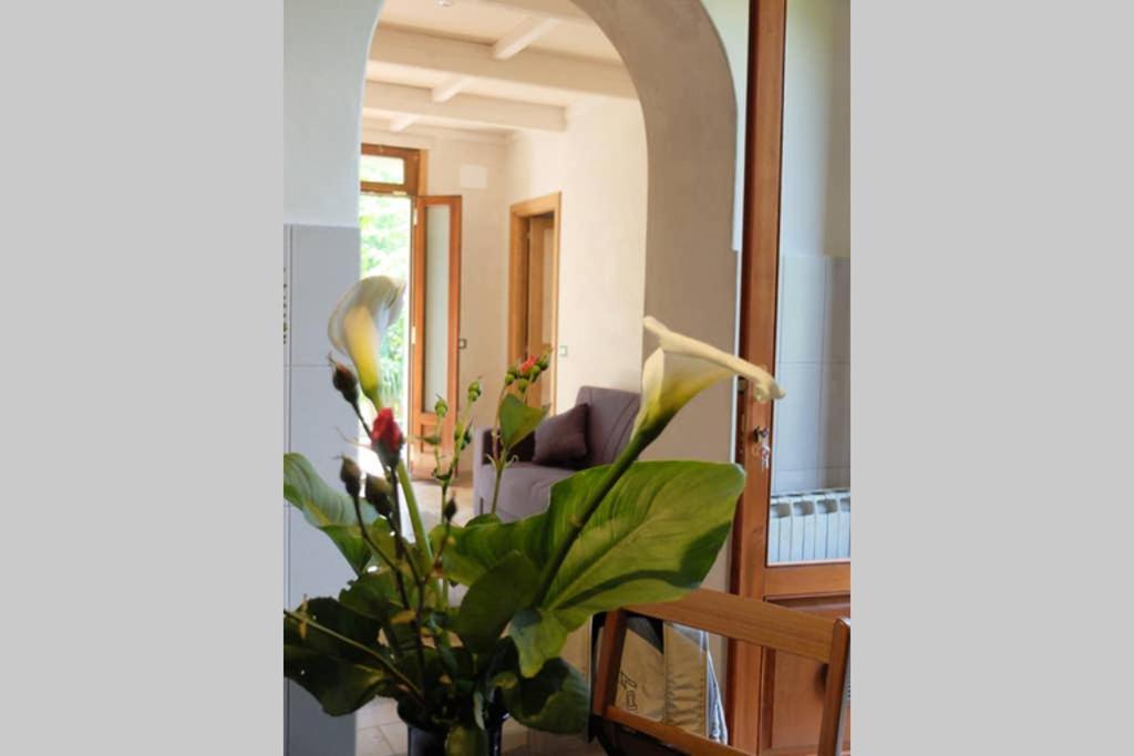 La Casina Di Bruna Mommio Buitenkant foto